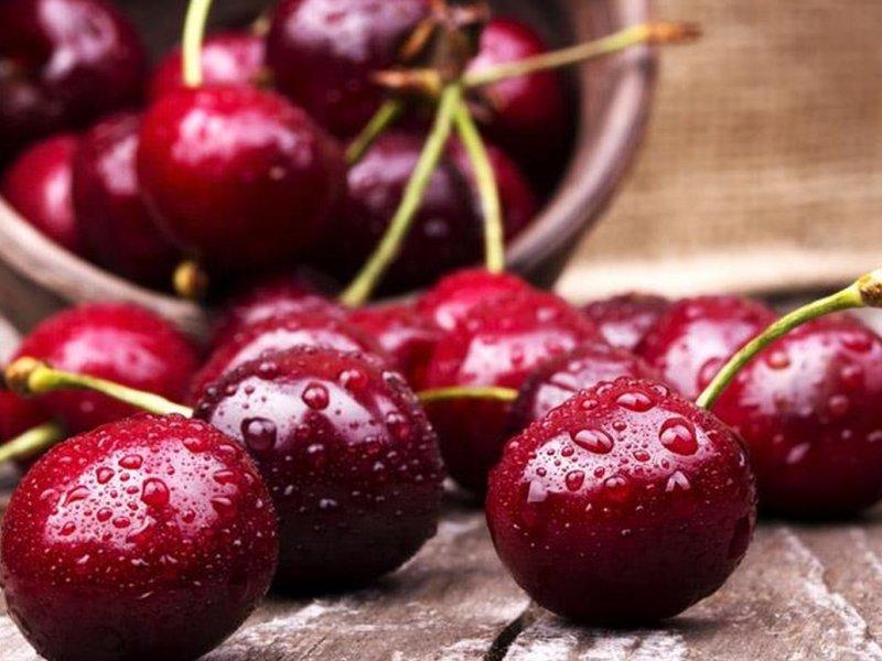Вишня купить саженцы из питомника в Находке